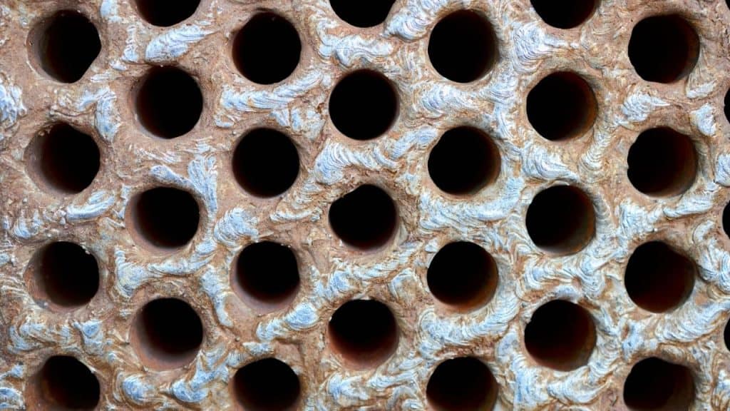 Trypophobia