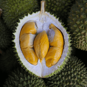 durian udang merah
