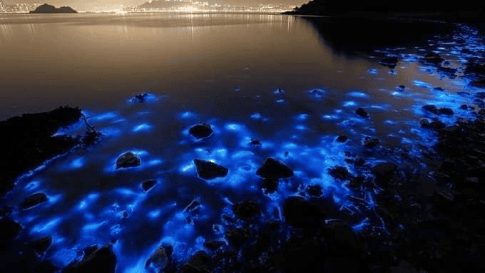 Blue Tears Kuala Selangor - Rujuk Harga Tiket & Tips