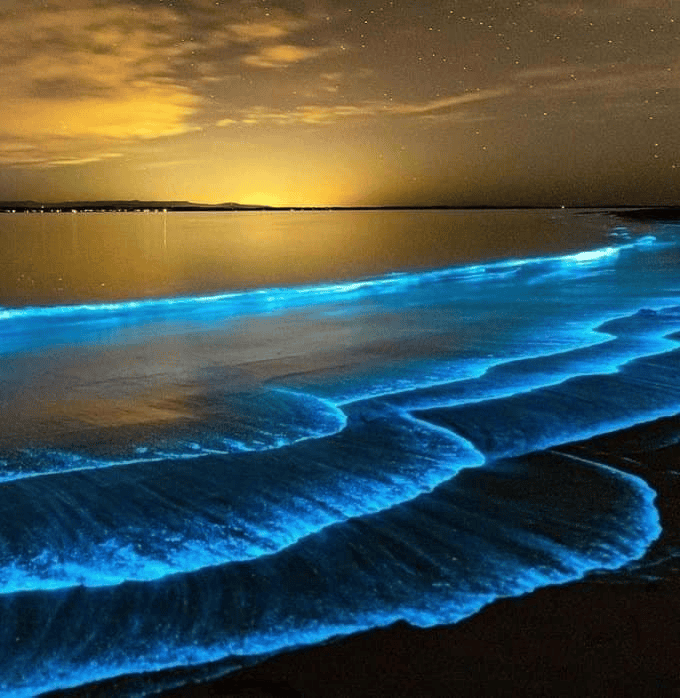 Blue Tears Kuala Selangor - Rujuk Harga Tiket & Tips