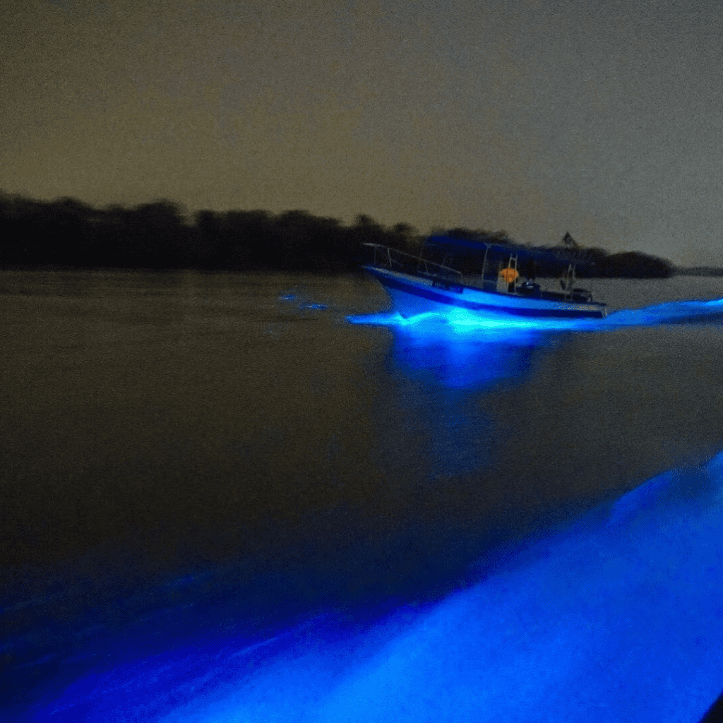 Blue Tears Kuala Selangor - Rujuk Harga Tiket & Tips
