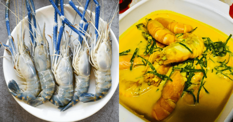 udang galah