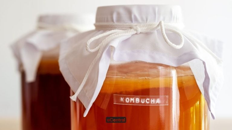 Kombucha