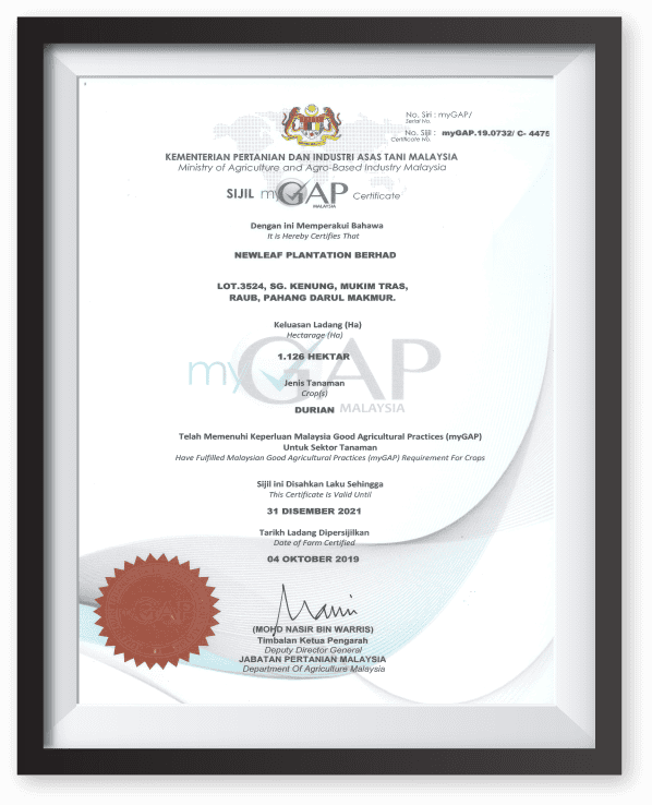 MyGap-Cert