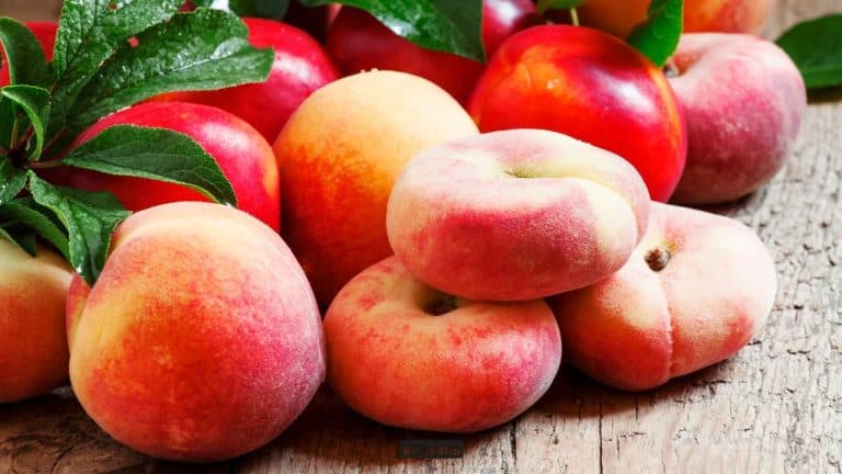 donut peach