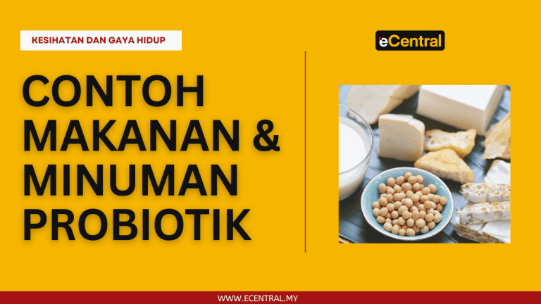 Contoh Makanan & Minuman Probiotik yang Mudah Didapati