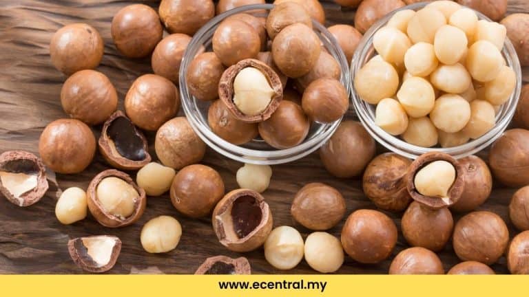 kacang macadamia