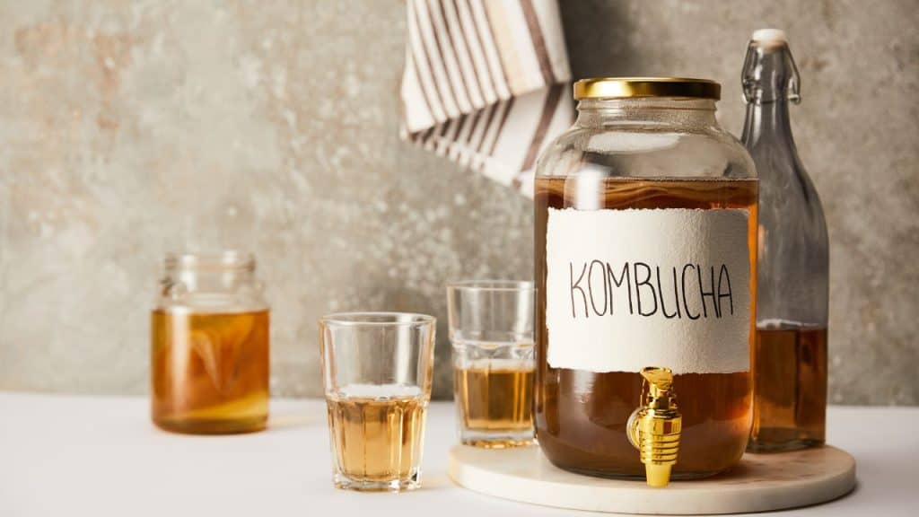 kombucha