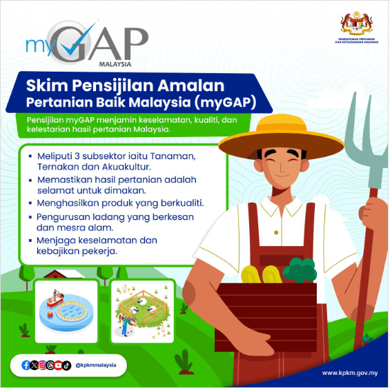 mygap1