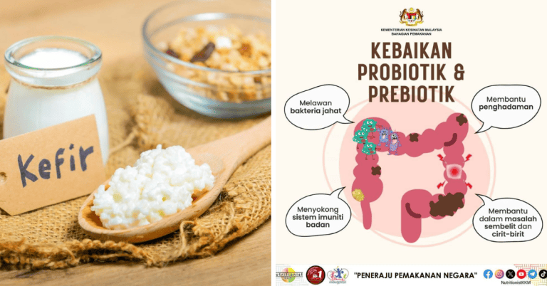 probiotik untuk apa