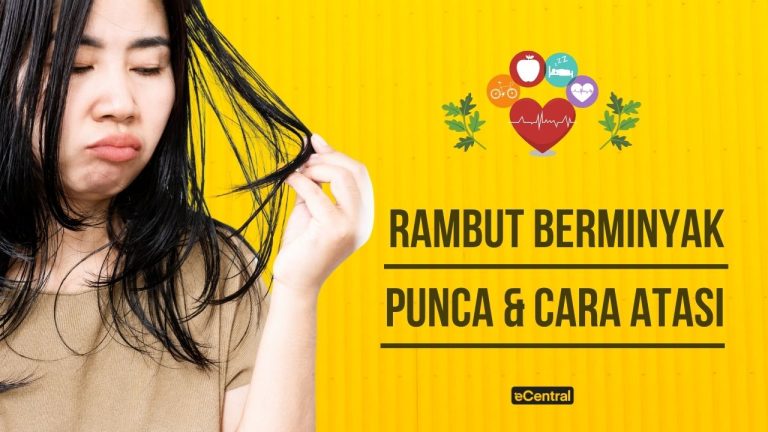 punca rambut berminyak