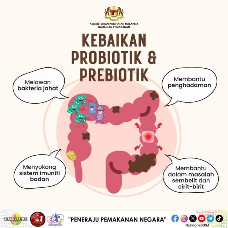 minuman probiotik