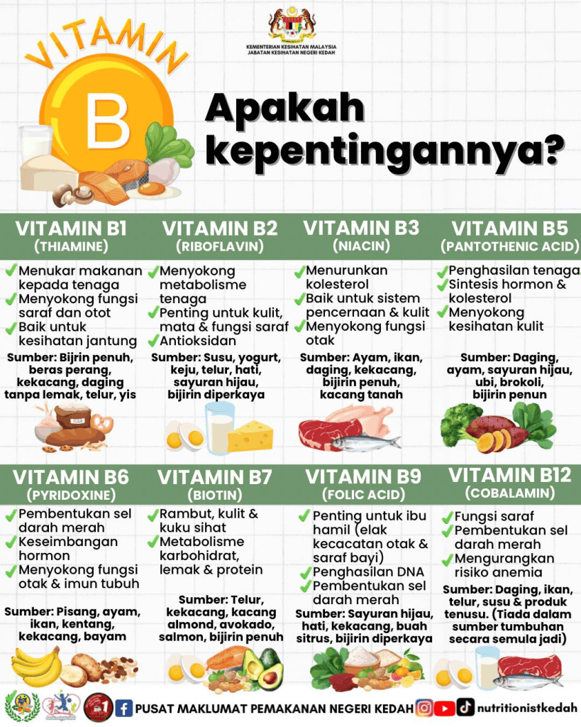 Vitamin B: Jenis, Fungsi & Contoh Sumber Makanan