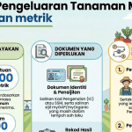 insentif pengeluaran tanaman makanan