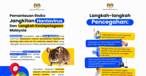 hantavirus
