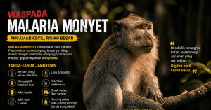 malaria monyet