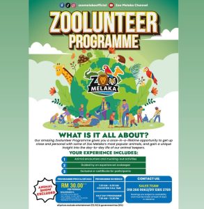 volunteer zoo melaka