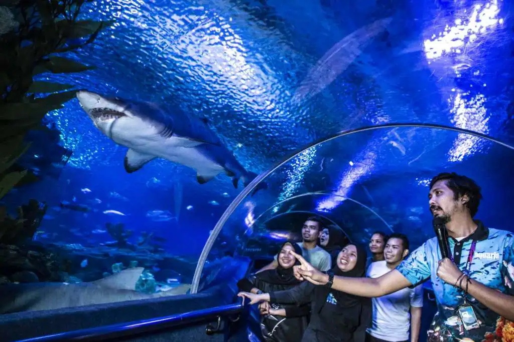 Aquaria Masuk Percuma