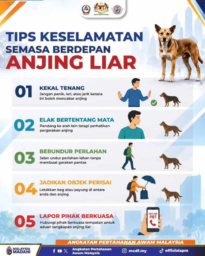 Tips Keselamatan Jika Berhadapan Anjing Liar