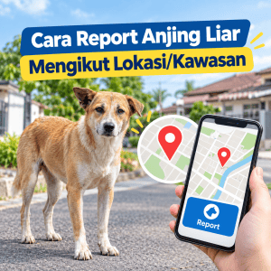 cara report anjing liar